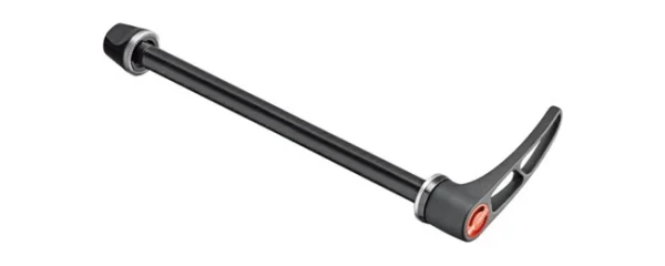 DT Swiss RWS Thru Bolt Vorderrad 9×100 Mm Spann-Achse 1