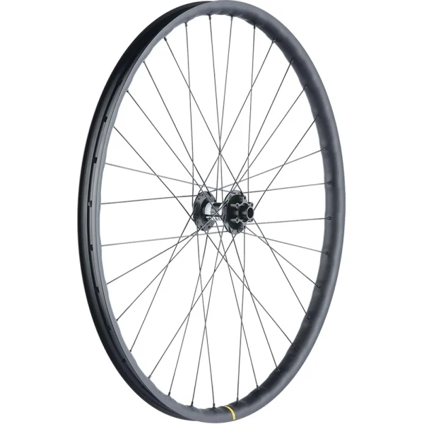 29 Zoll Laufradsatz DT Swiss 350 Classic Naben Disc 6 Loch + Mavic MTB Felgen 3